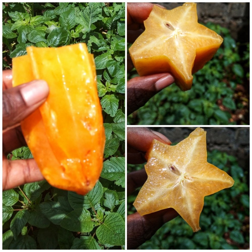 Star fruit/ mbirimbi